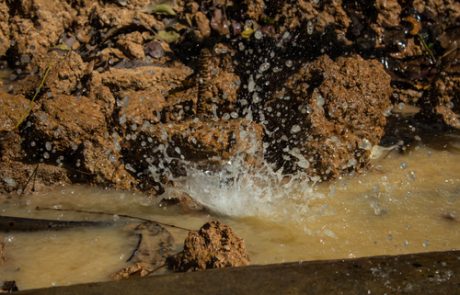 איתור נזילות מים ללא הרס: טכנולוגיה מתקדמת בשירות חיסכון ושימור